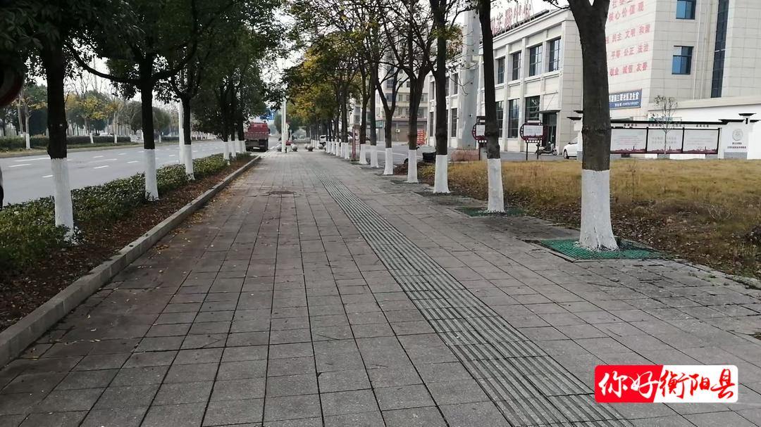 县园林绿化所：树木穿“新衣” 御寒又防虫
