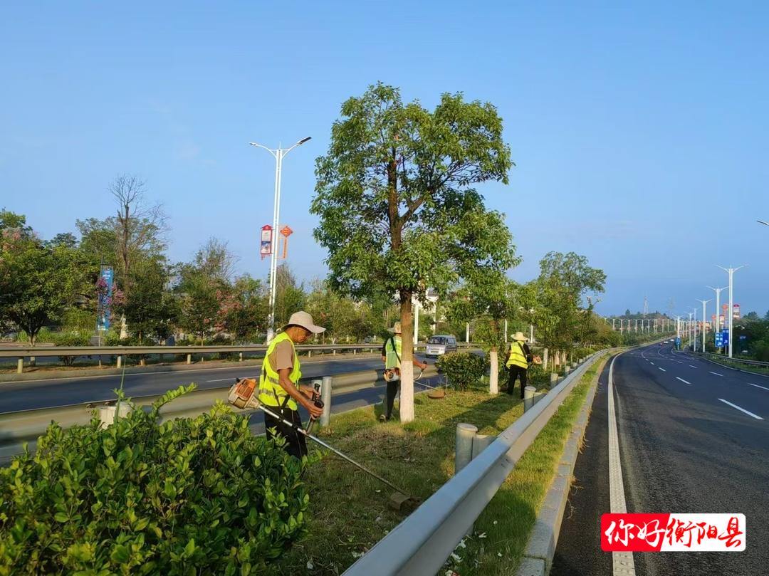 县园林绿化所：“修”出美丽市容，“剪”少