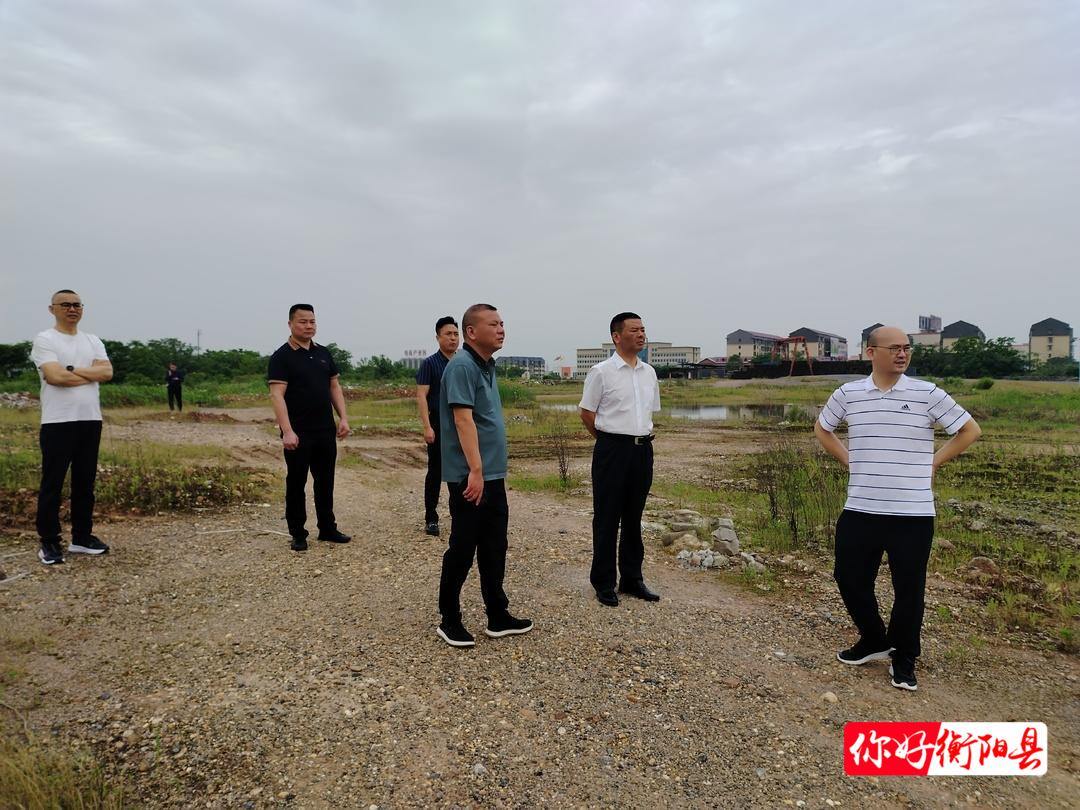 邓明君督导生态环保和园林绿化提质工作