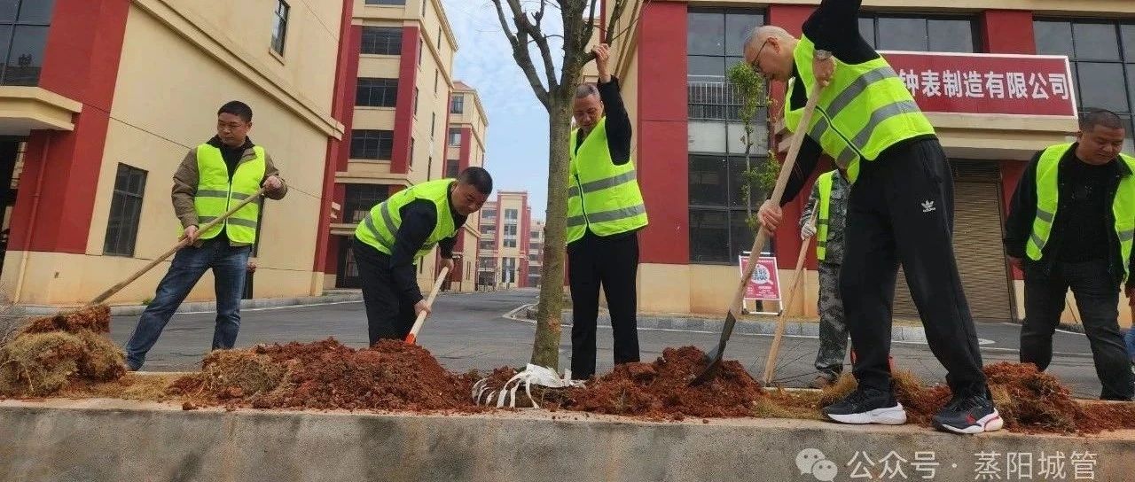 县城管执法局：植此青绿 助力旅发
